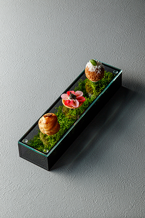 モストレー　 イメージ