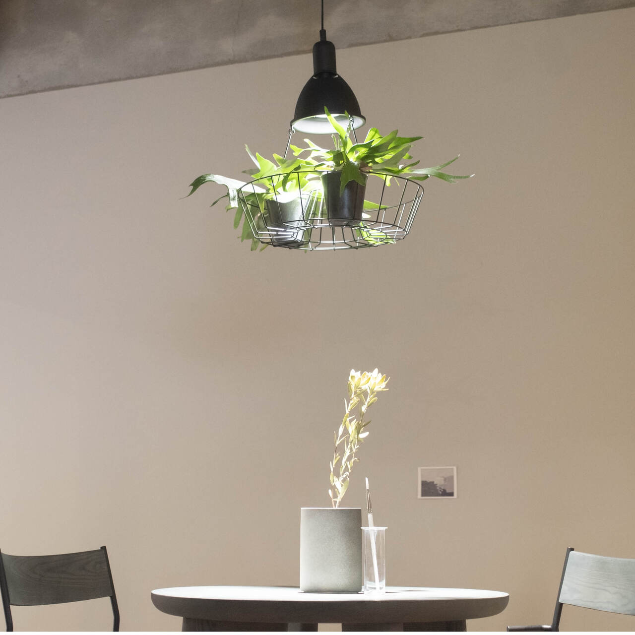 グリーンライティング　ペンダントライト イメージ