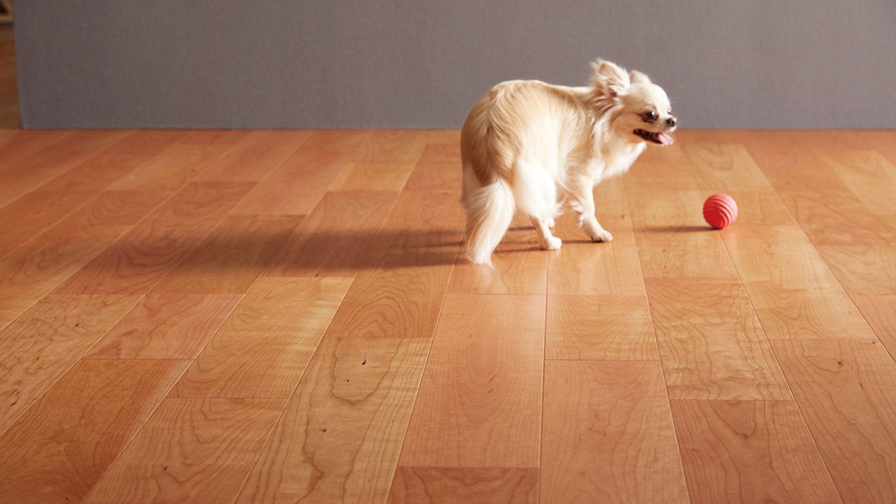 Live Natural for Dog（ペット用天然木防滑フローリング） イメージ