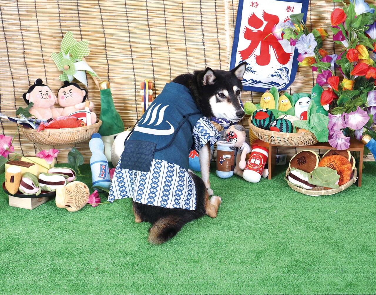 ペット用品 Image