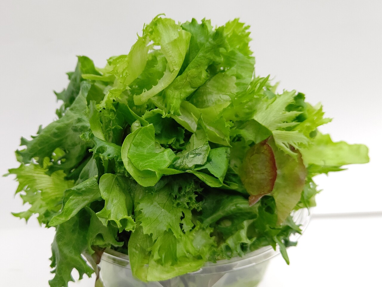 富士レタス　混さい Image