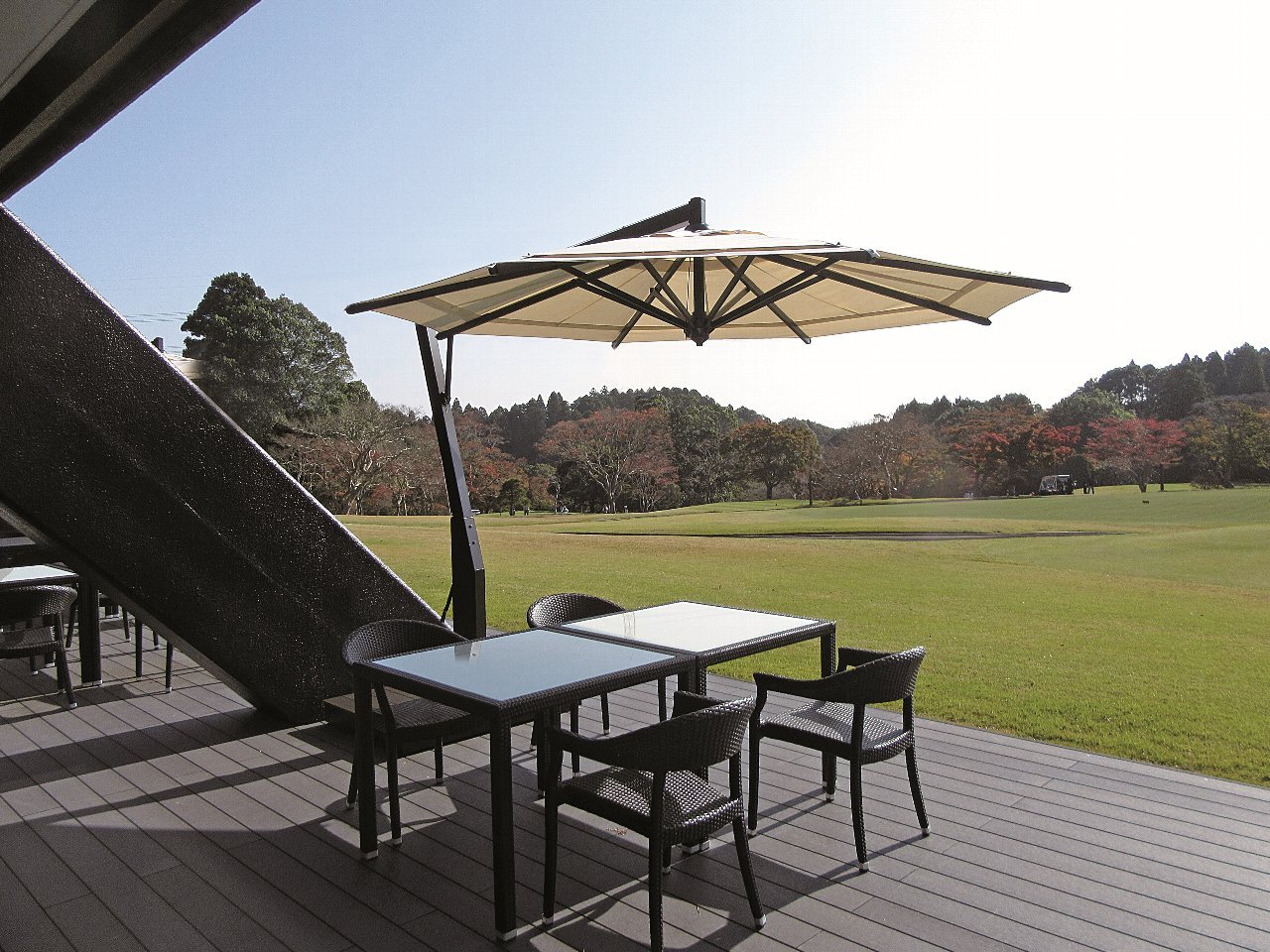 ステラ イメージ