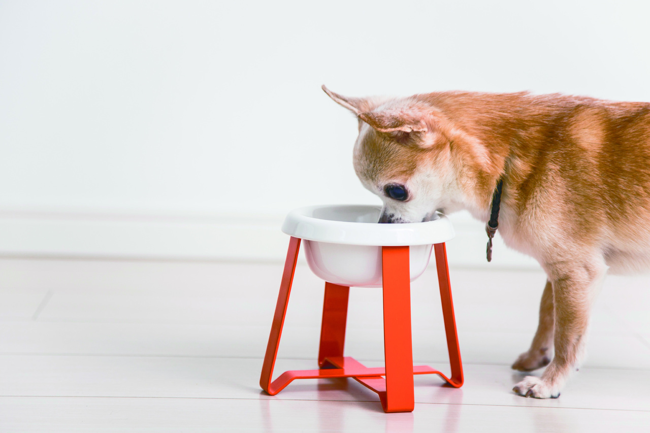 正しい姿勢で食事をサポートする機能美スタンド「PECOLO」 イメージ