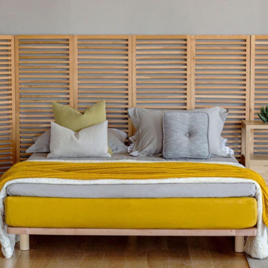 Kamelia イメージ