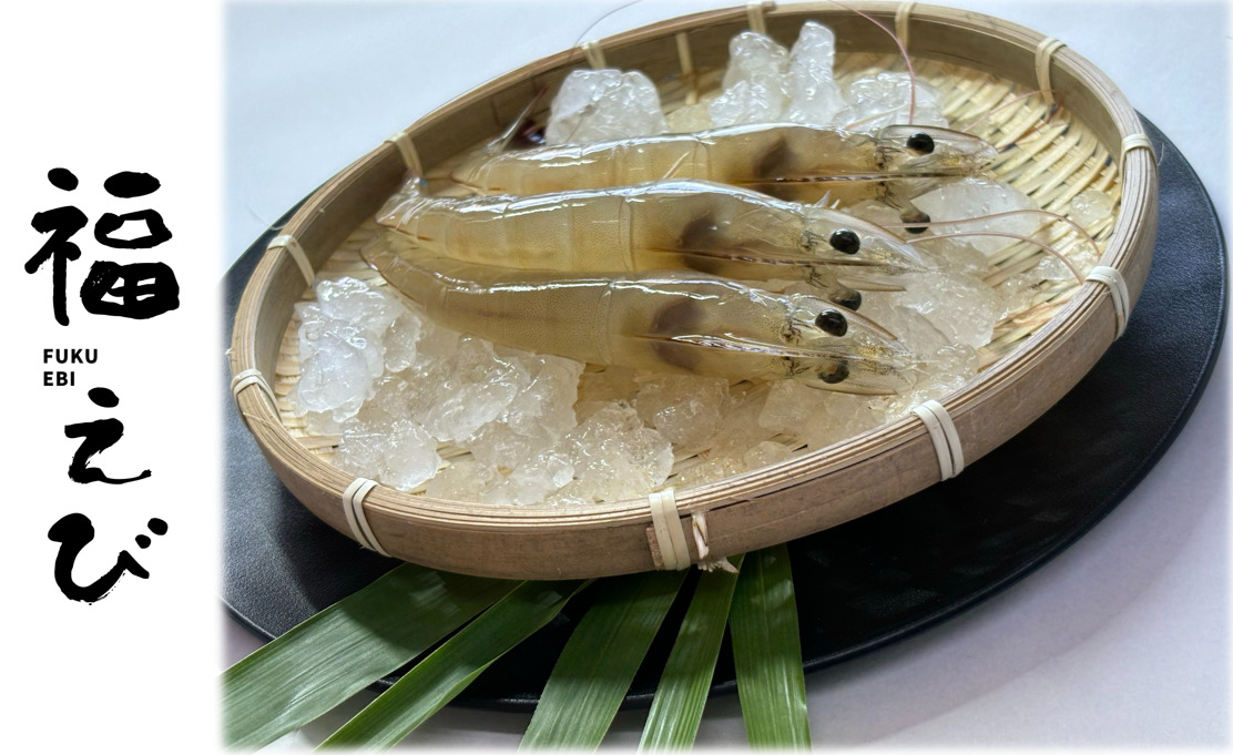 磐田育ちの幸福なえび　幸えび・福えび イメージ