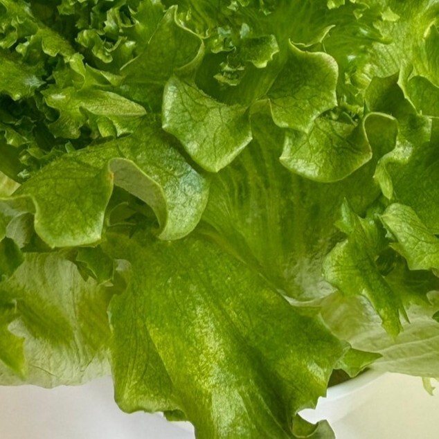 富士レタス　個装混さい　クリスフリル イメージ