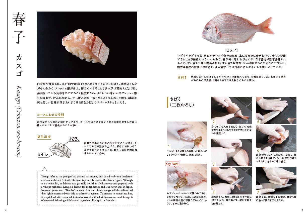 Sushi is EVOLUTION Image