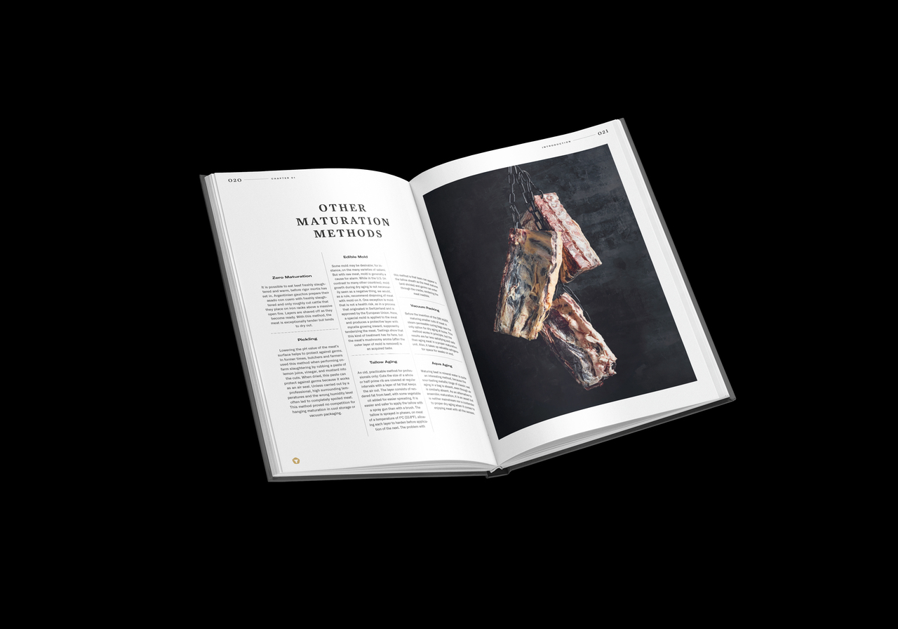 Dry Aging Bible Image