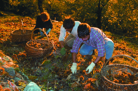 SABATON イメージ