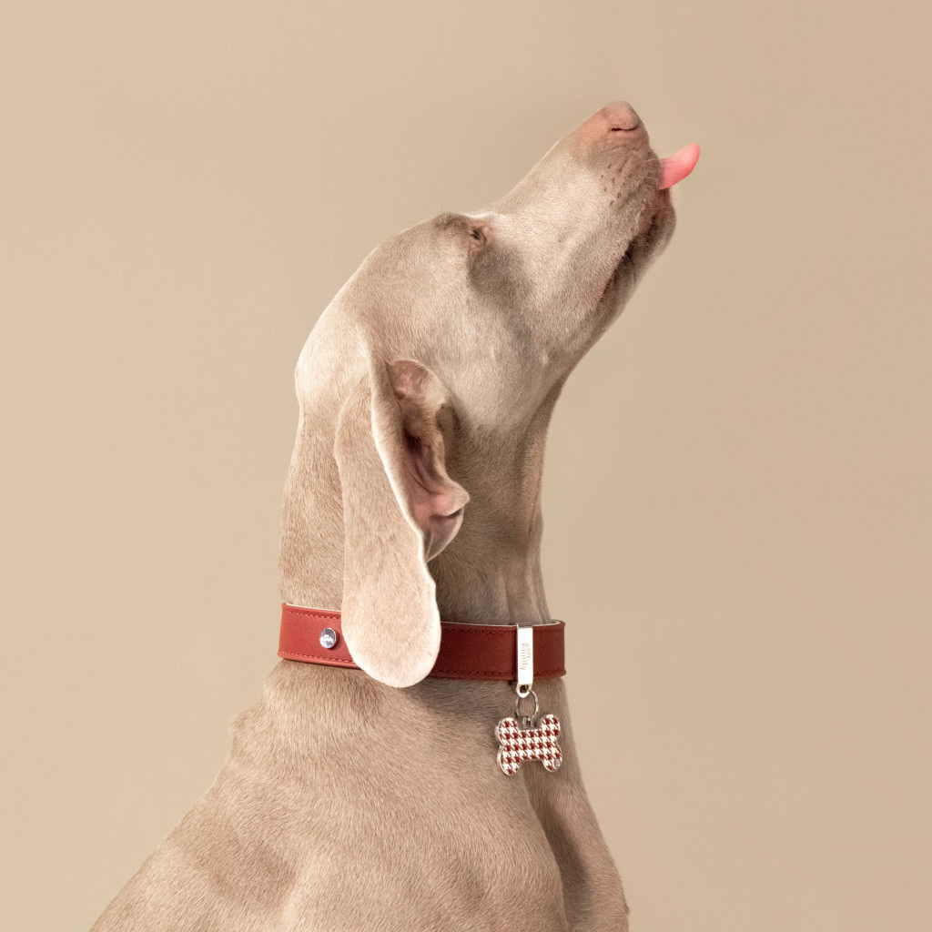 my family イメージ