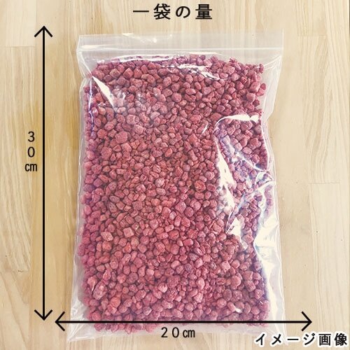 FDイチゴダイス 300gパック イメージ