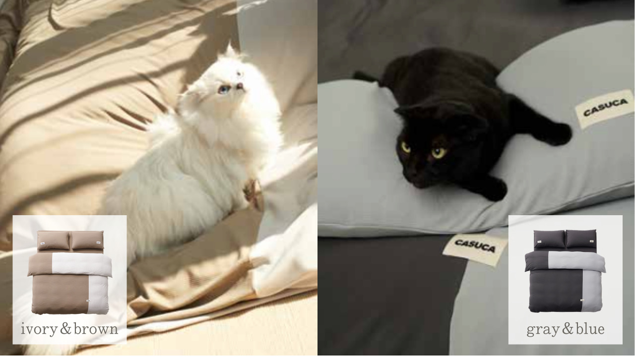 毛の付かない寝具4点セット イメージ