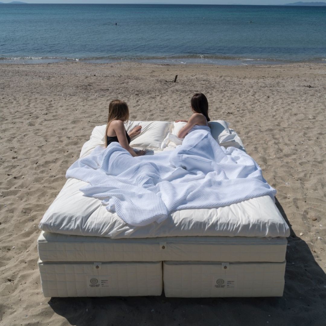 Kamelia イメージ