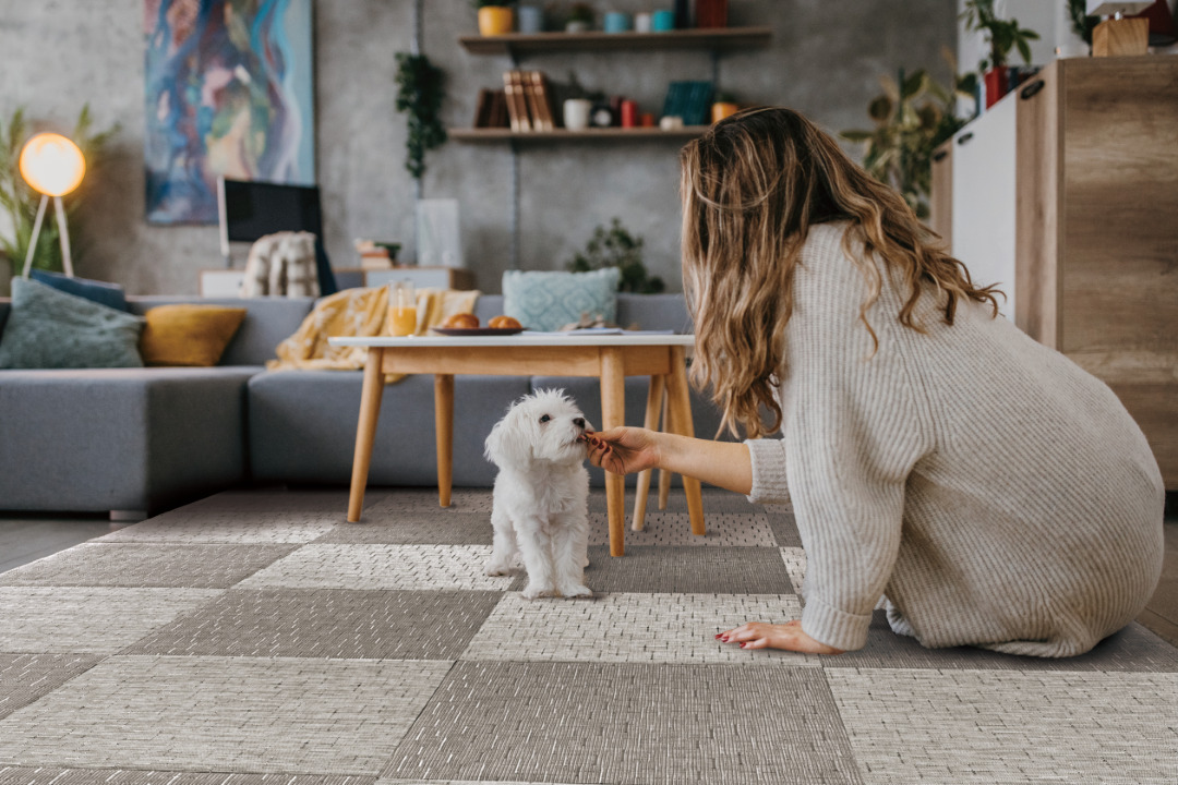 ＲｅＦａｃｅ　Ｔｉｌｅ イメージ