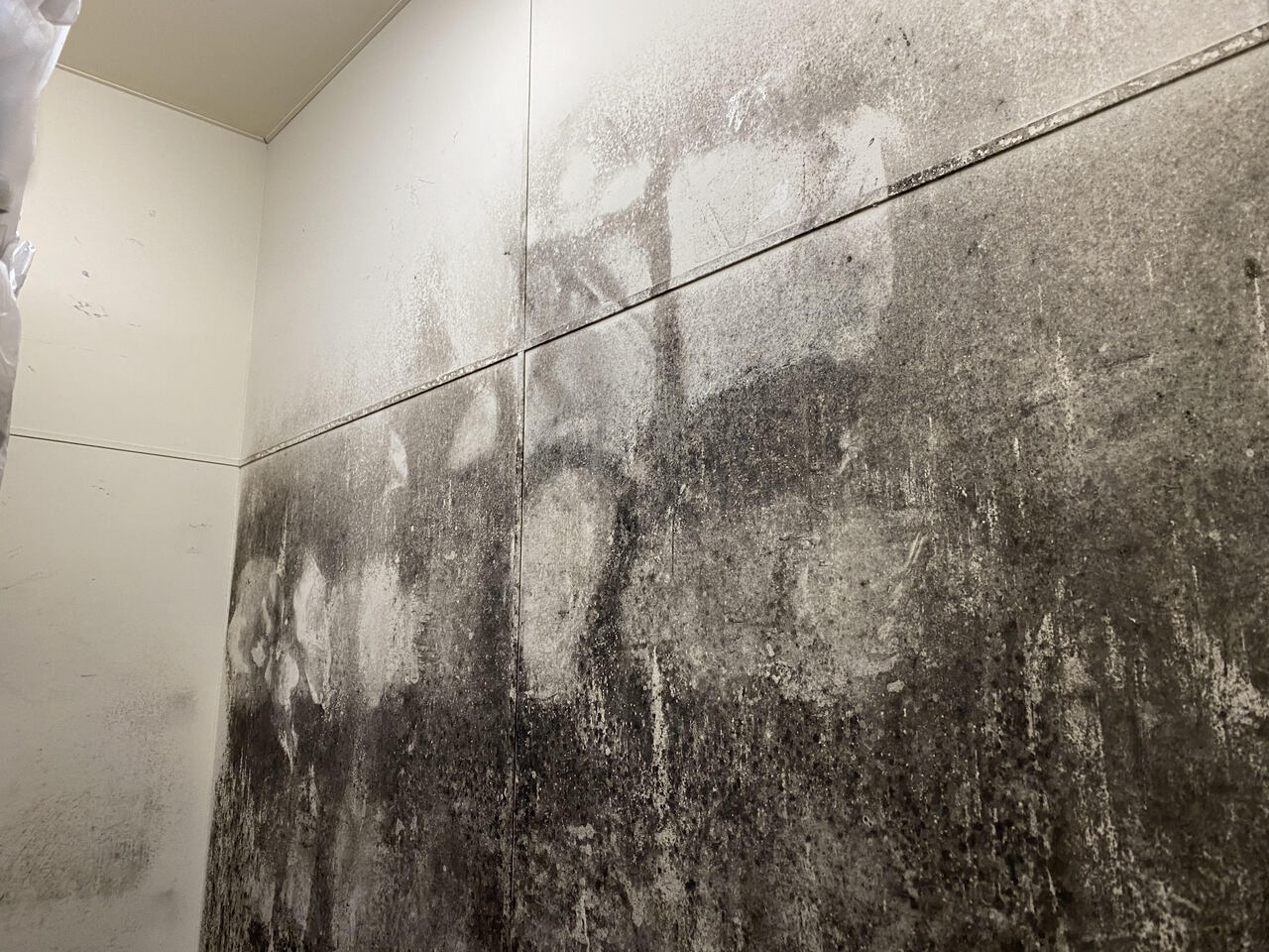 カビ対策 イメージ