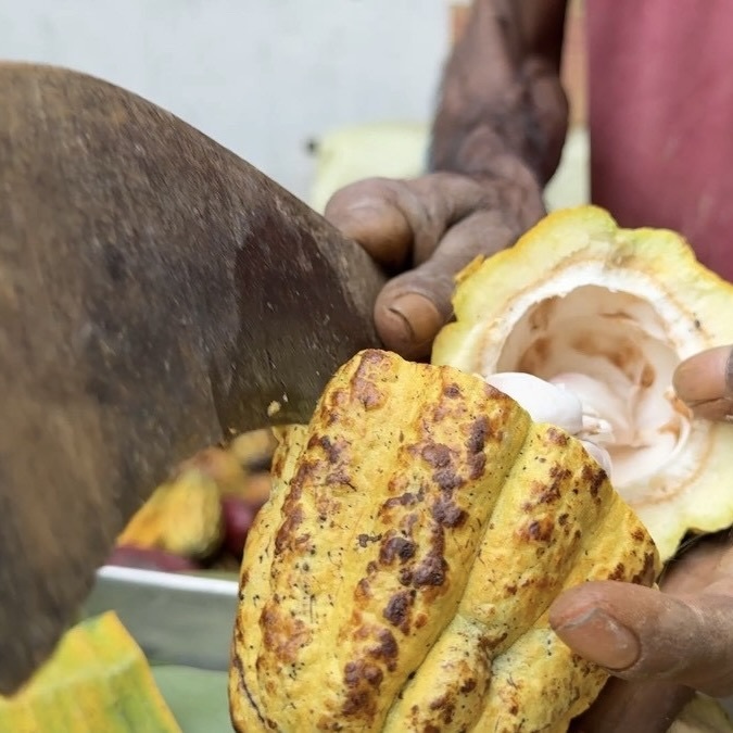 タブレット・スリランカ産カカオ豆【éclat de paix】 イメージ