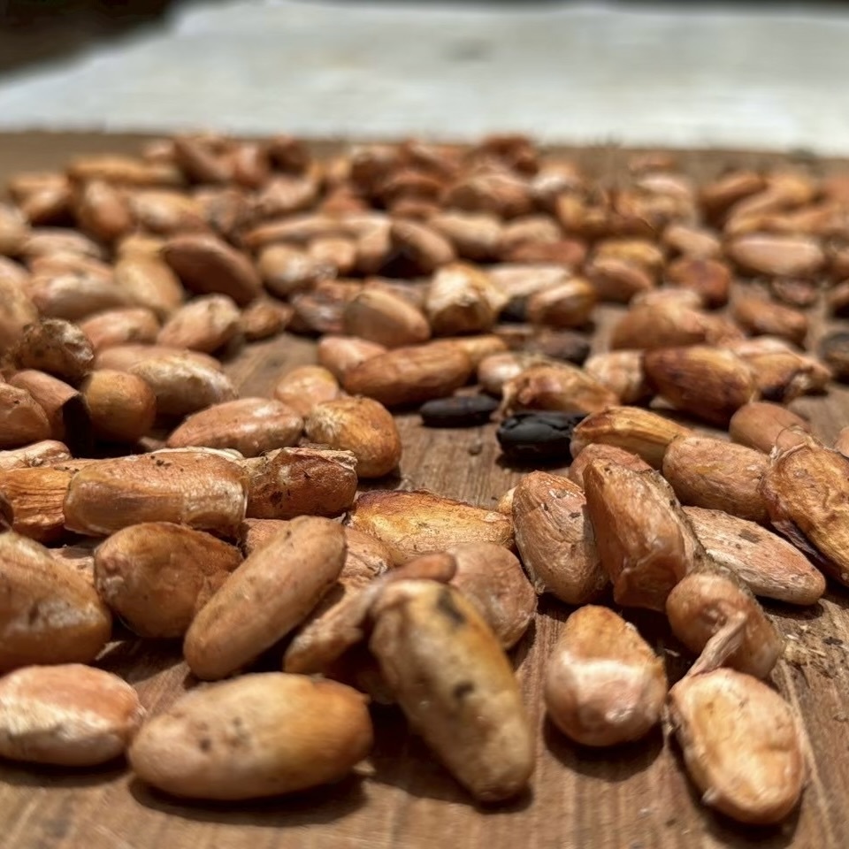 Cacao tablets crafted from Sri Lankan cacao beans [éclat de paix] Image