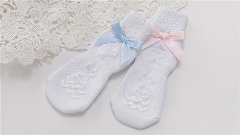 犬用靴 山歩靴（さんぽぐつ）／　犬用靴下 スキッターマカロン イメージ