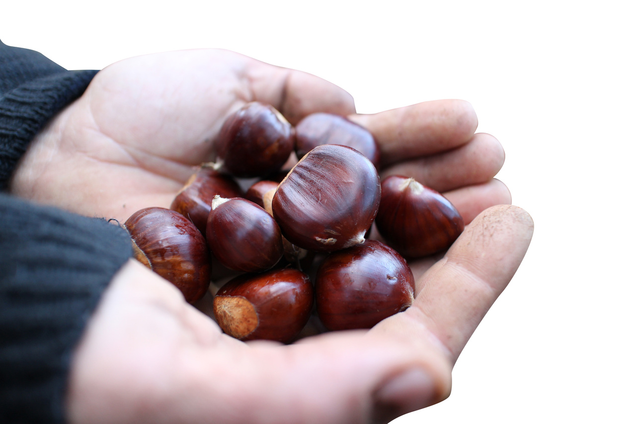 SABATON イメージ