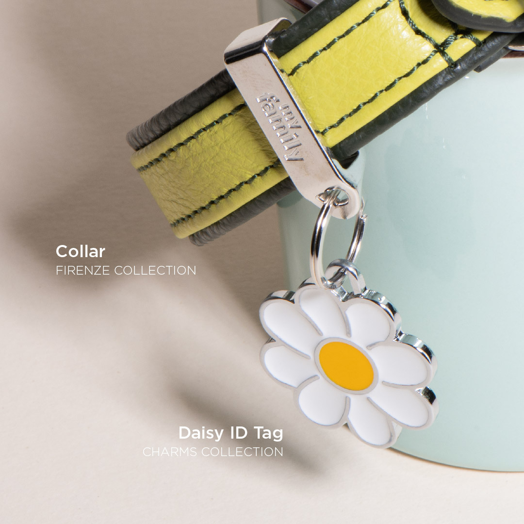 my family イメージ