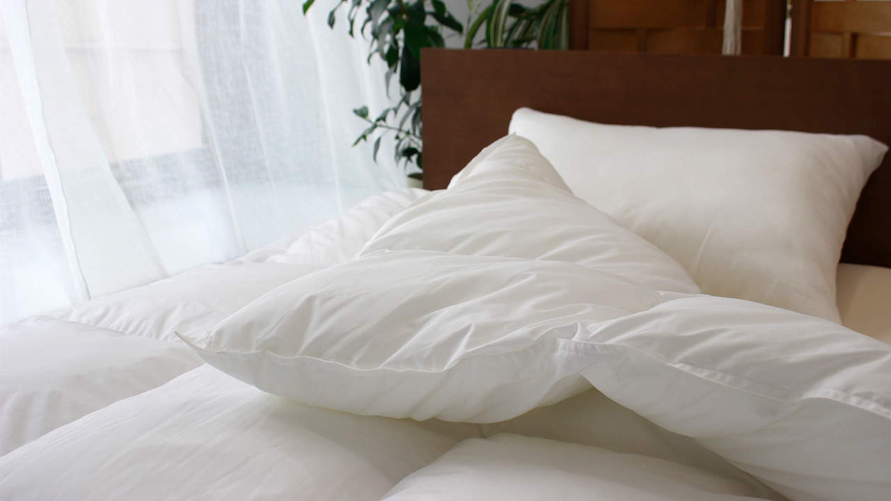AIRYFROST®　Duvet Image