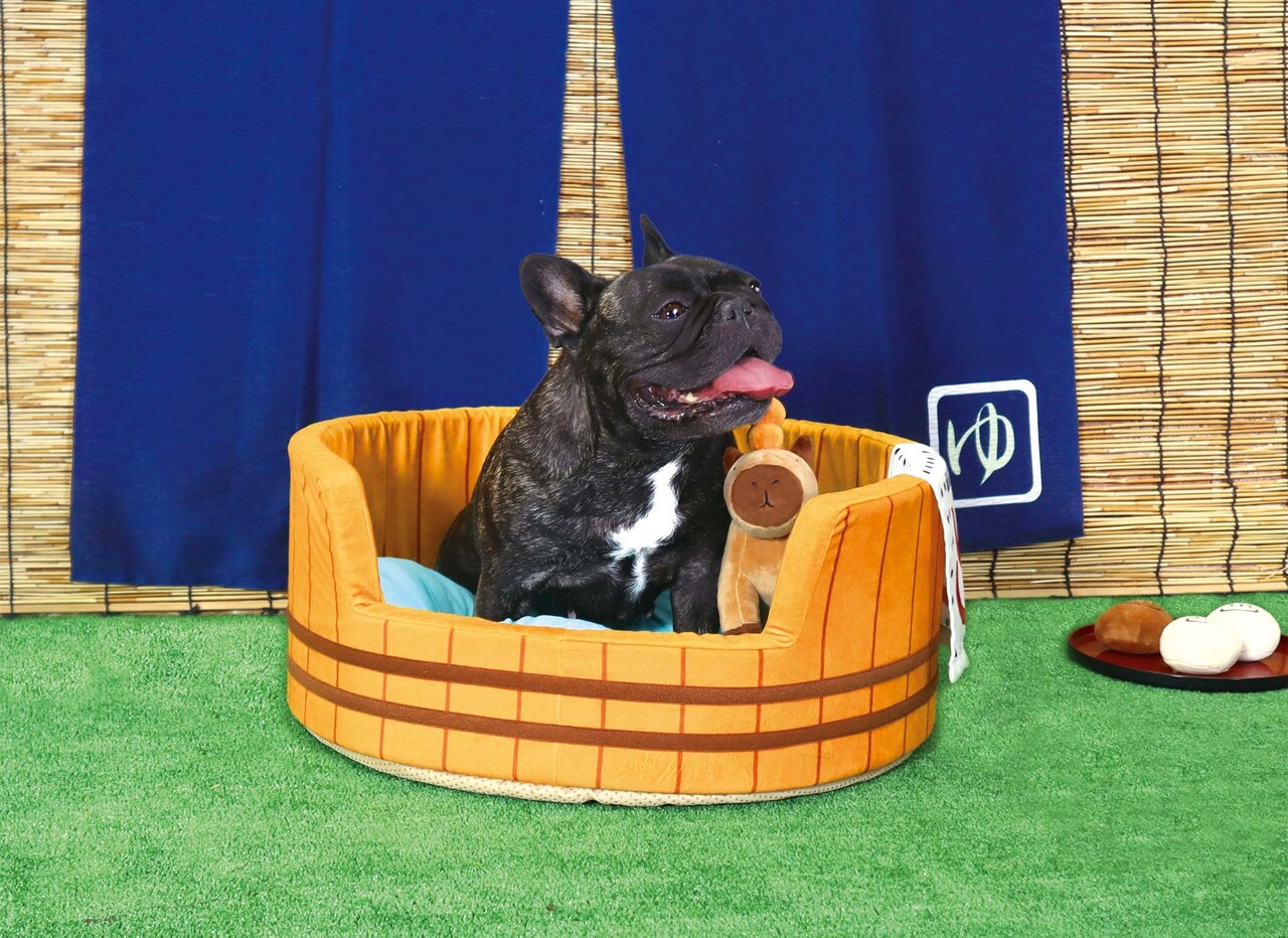 ペット用品 イメージ