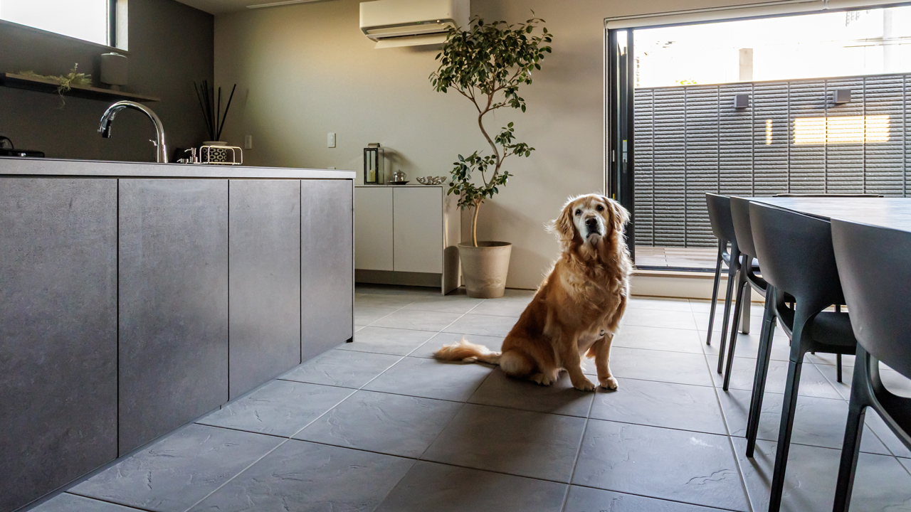 イタリア製ペット対応タイル イメージ