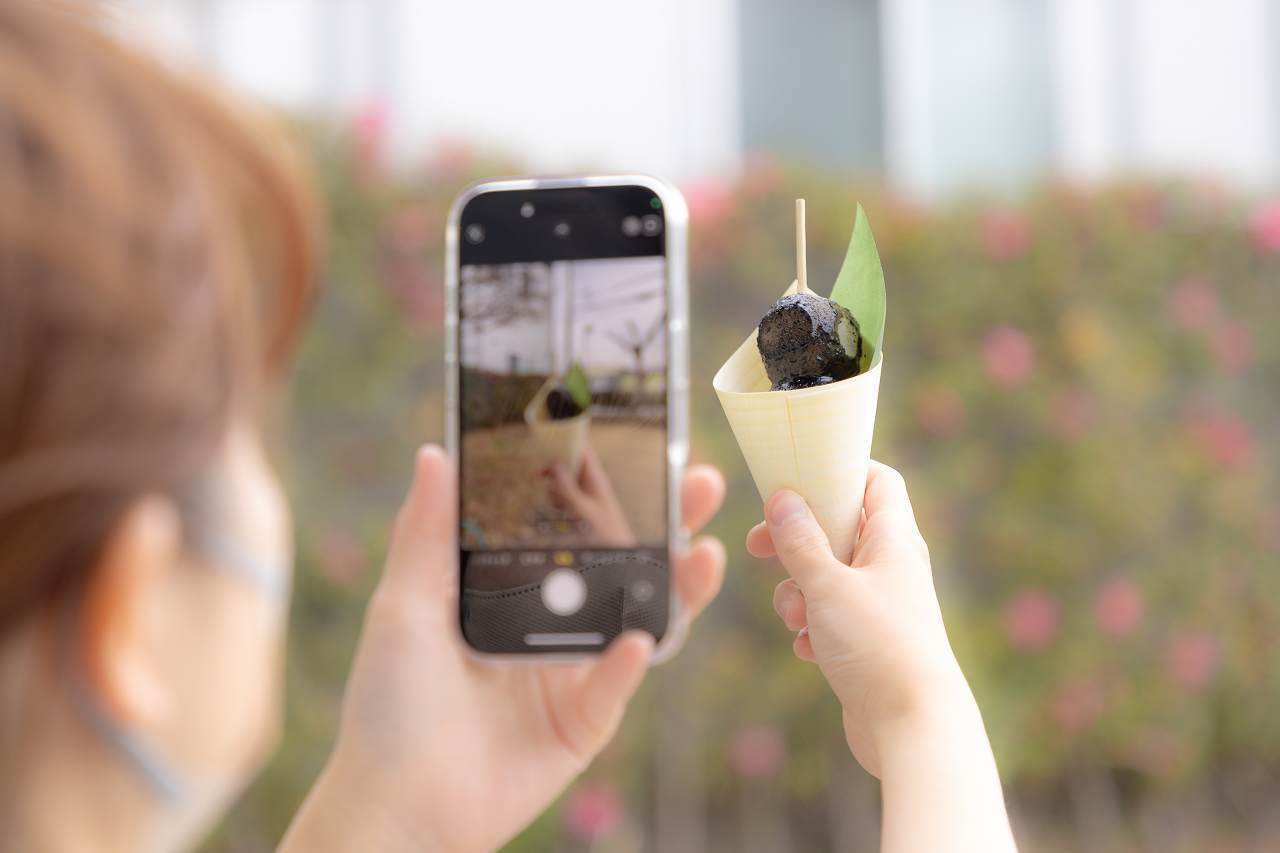 コーン型経木 イメージ