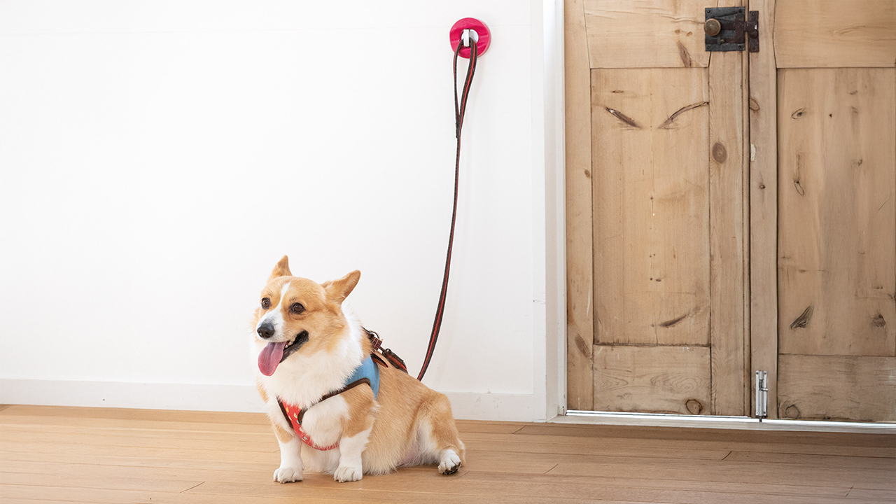 Doggy Hook　ドギーフック　／　Doggy Hook Lite　回転式リードフック ドギーフックライト  イメージ