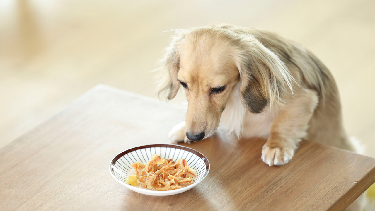 愛犬用おやつ イメージ