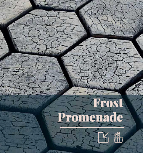 Emotion Wood イメージ