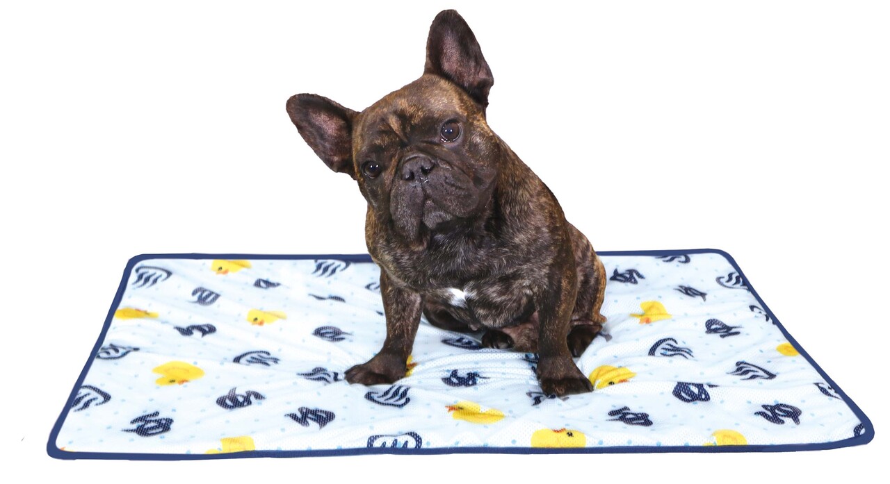 ペット用品 イメージ