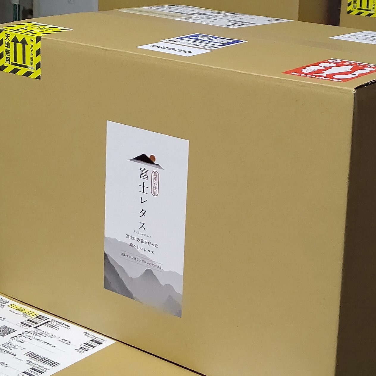 富士レタス　混さい イメージ