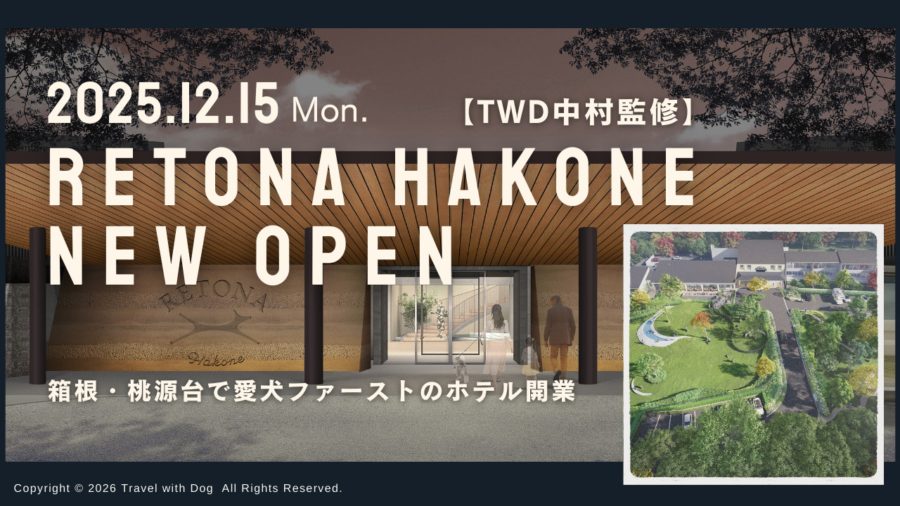 Travel With Dog – Pet-Friendly Hotel Consulting & Production Service Image