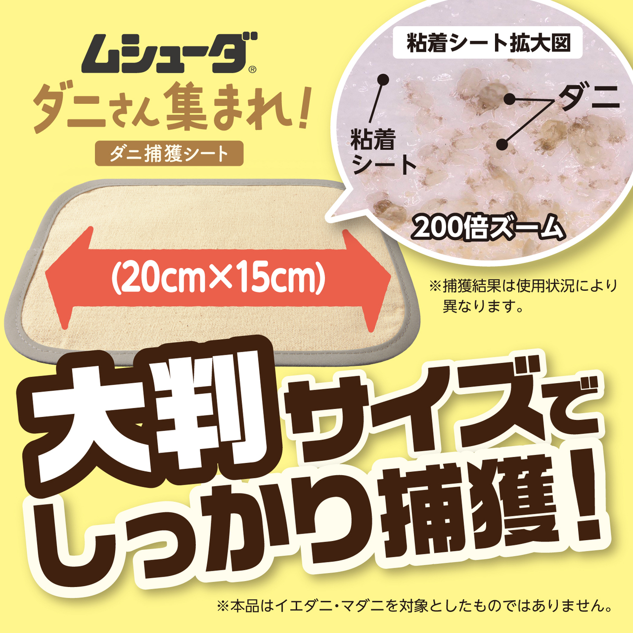 ダニさん集まれ　ダニ捕獲シート イメージ